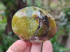 Polished Large Green Opal Palm Stones x 12 From Betroka, Madagascar