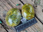 Polished Large Green Opal Palm Stones x 12 From Betroka, Madagascar