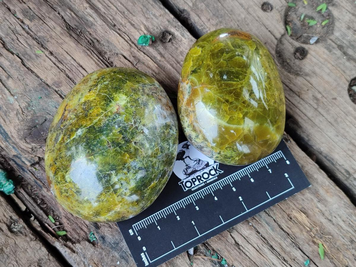 Polished Large Green Opal Palm Stones x 12 From Betroka, Madagascar