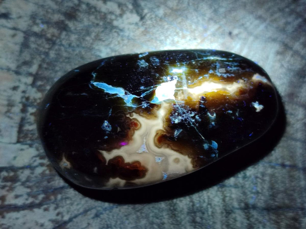 Polished Large Green Opal Palm Stones x 12 From Betroka, Madagascar