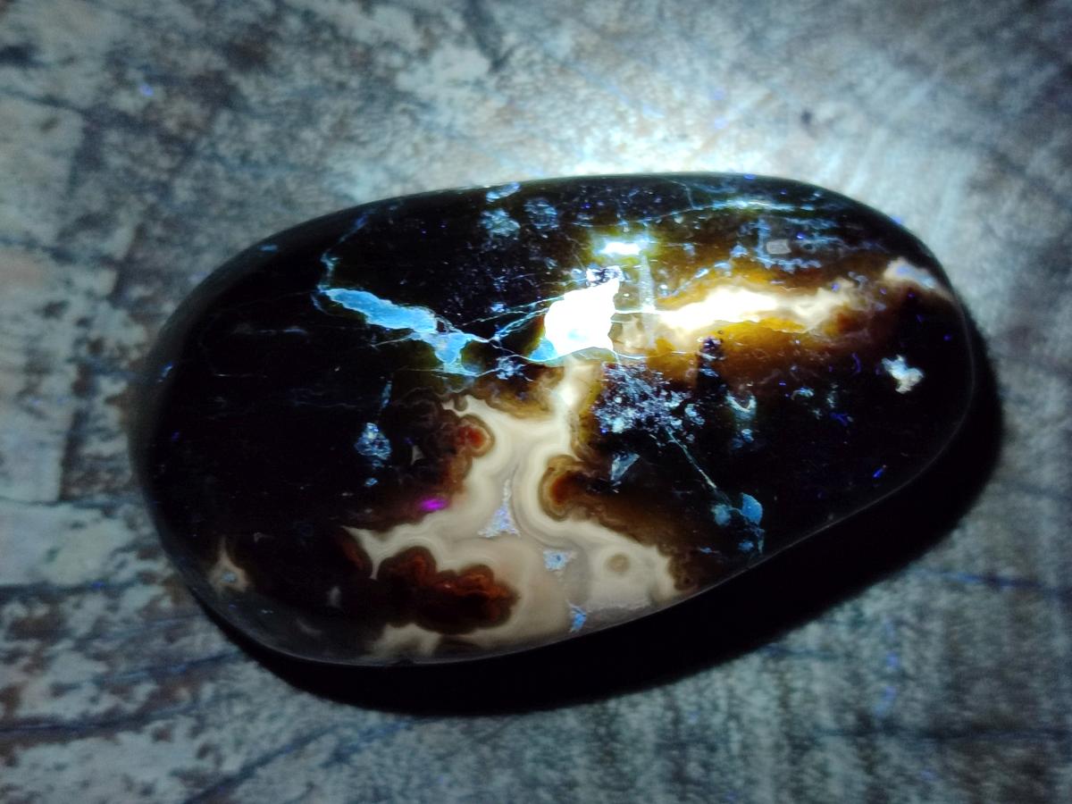 Polished Large Green Opal Palm Stones x 12 From Betroka, Madagascar