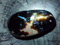 Polished Large Green Opal Palm Stones x 12 From Betroka, Madagascar