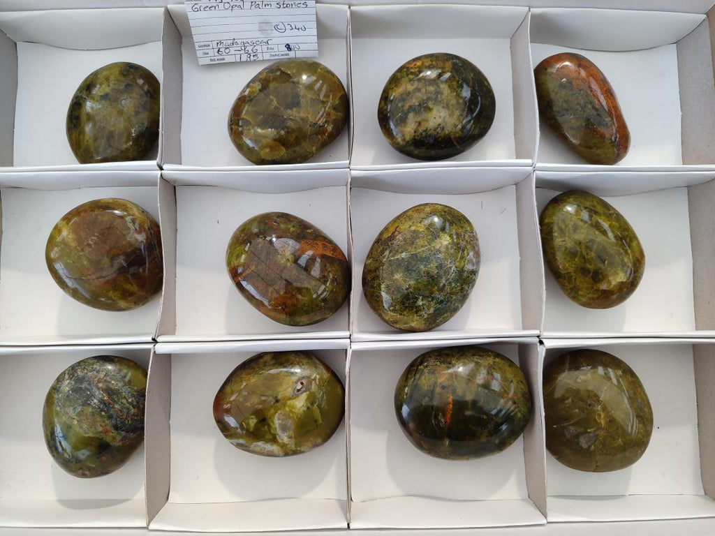 Polished Large Green Opal Palm Stones x 12 From Betroka, Madagascar