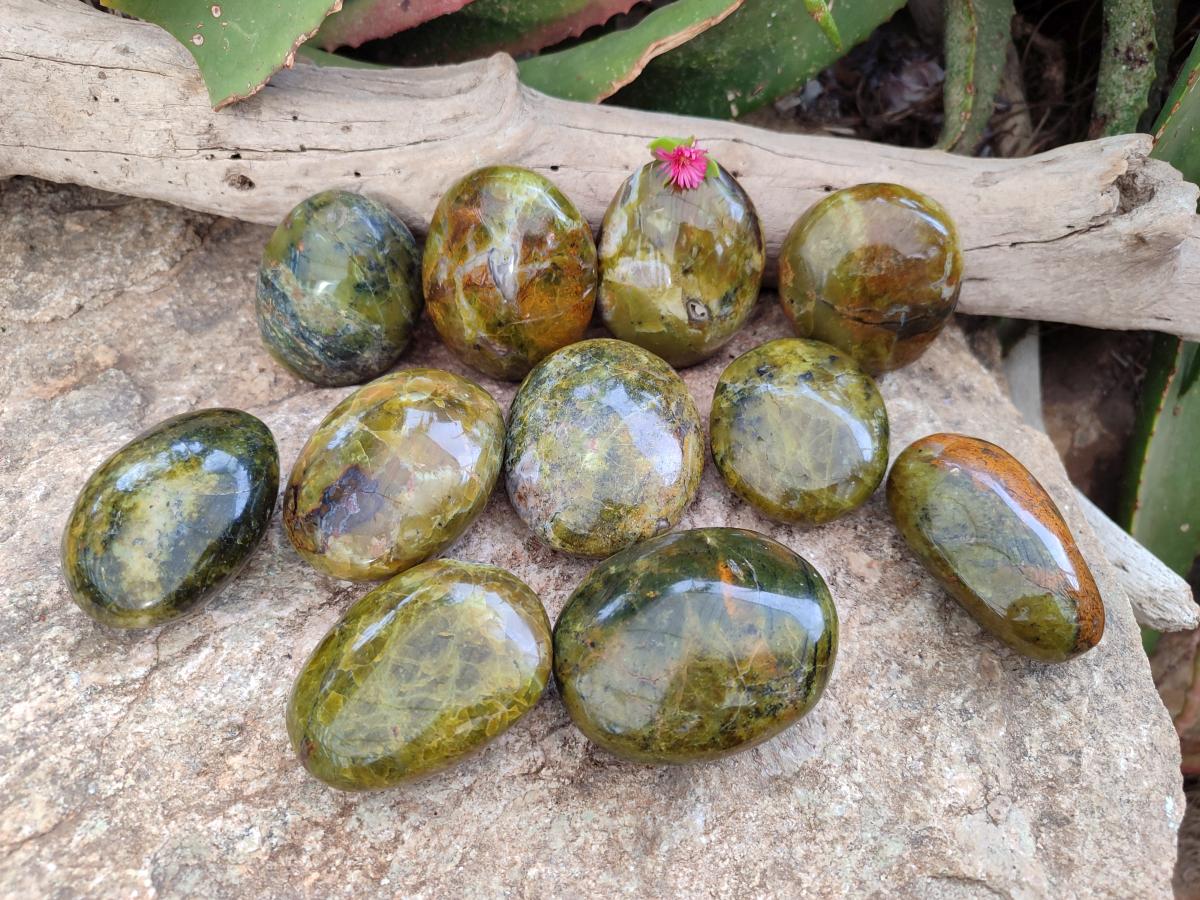 Polished Large Green Opal Palm Stones x 12 From Betroka, Madagascar
