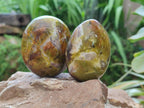 Polished Large Green Opal Palm Stones x 12 From Betroka, Madagascar