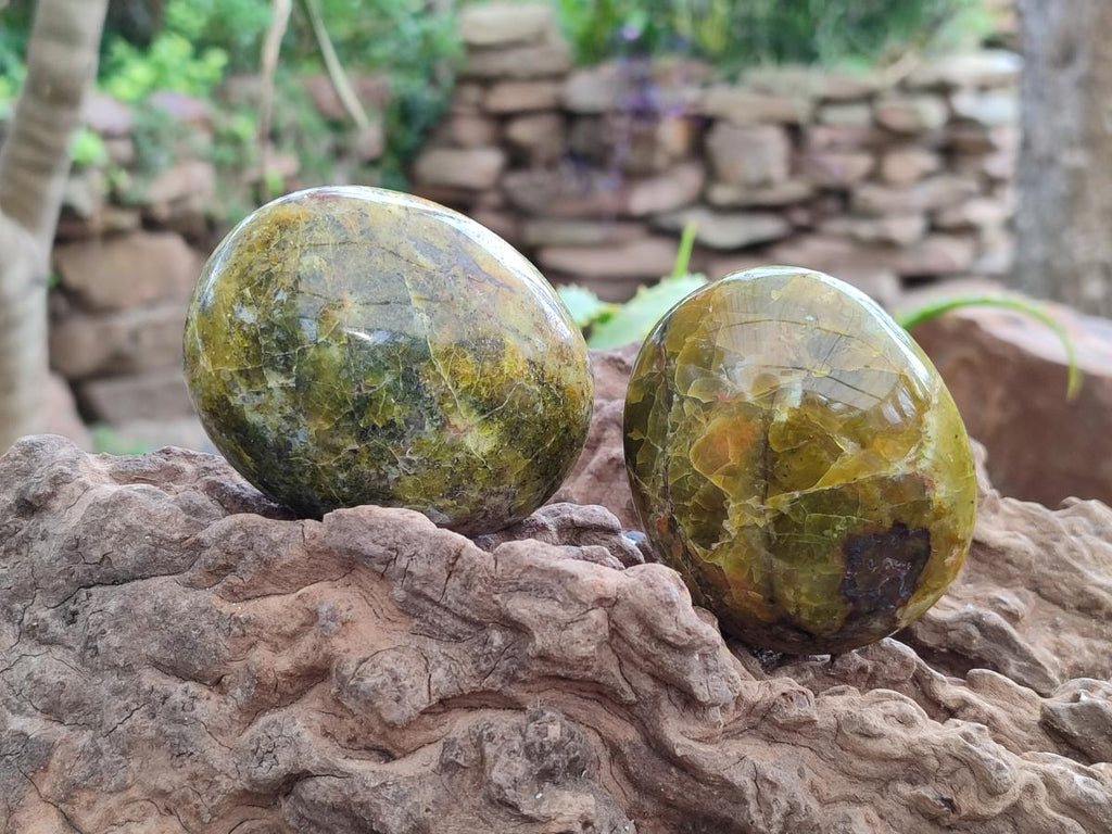 Polished Large Green Opal Palm Stones x 12 From Betroka, Madagascar