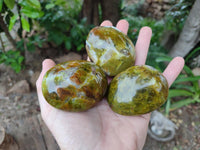 Polished Large Green Opal Palm Stones x 12 From Betroka, Madagascar