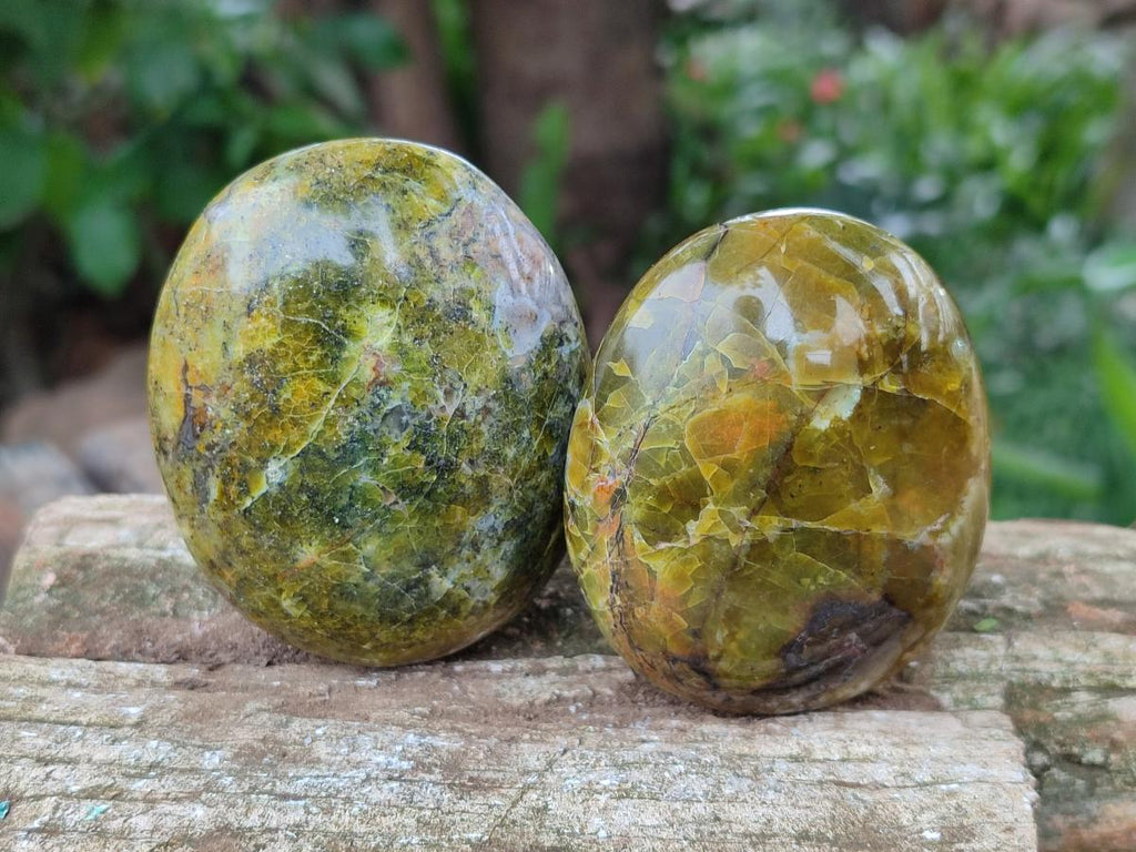 Polished Large Green Opal Palm Stones x 12 From Betroka, Madagascar