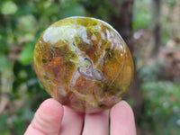 Polished Large Green Opal Palm Stones x 12 From Betroka, Madagascar