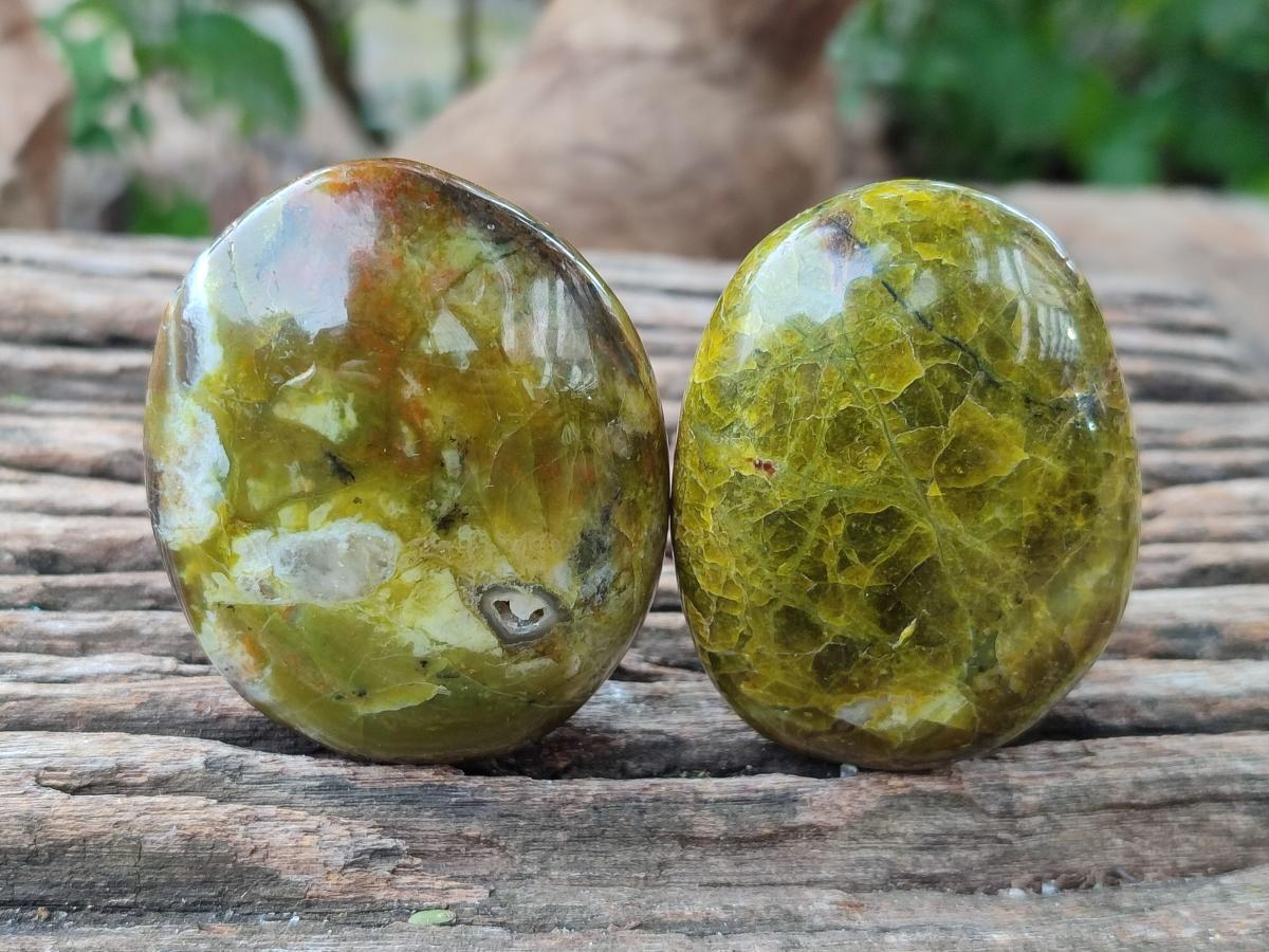 Polished Large Green Opal Palm Stones x 12 From Betroka, Madagascar