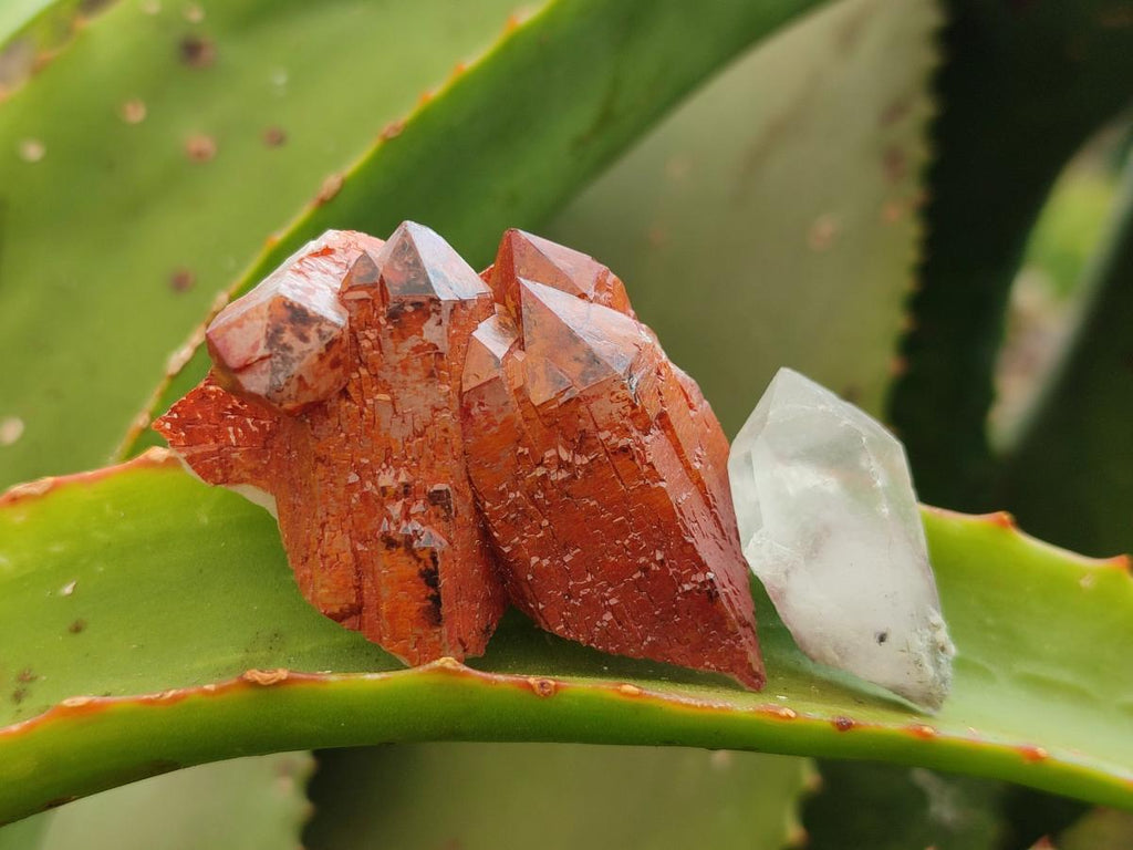 Natural Mix Of Multi Mineral Specimens x 28 From Southern Africa