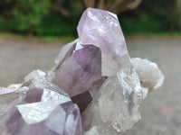 Natural Jacaranda Amethyst Crystal Clusters x 2 From Mumbwa, Zambia