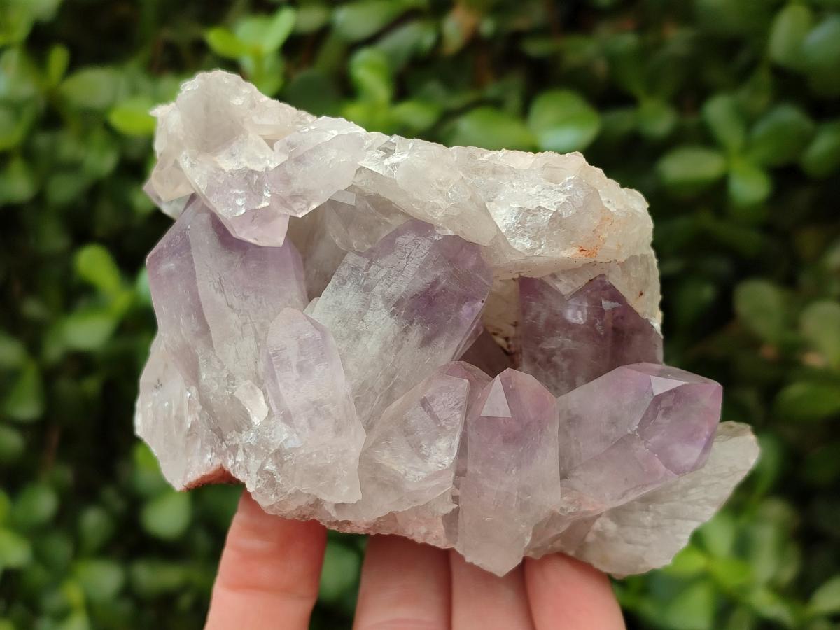 Natural Jacaranda Amethyst Crystal Clusters x 2 From Mumbwa, Zambia