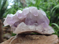 Natural Jacaranda Amethyst Crystal Clusters x 2 From Mumbwa, Zambia