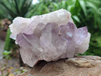Natural Jacaranda Amethyst Crystal Clusters x 2 From Mumbwa, Zambia