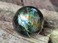 Polished Small Labradorite Spheres x 6 From Tulear, Madagascar