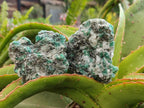 Natural Emerald Mica 'Mutokolite' Cobbed Specimens x 12 From Mutoko, Zimbabwe