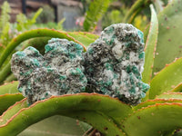 Natural Emerald Mica 'Mutokolite' Cobbed Specimens x 12 From Mutoko, Zimbabwe
