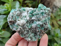 Natural Emerald Mica 'Mutokolite' Cobbed Specimens x 12 From Mutoko, Zimbabwe