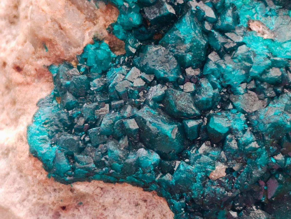 Natural Dioptase On Dolomite Specimen x 1 From Likasi, Congo