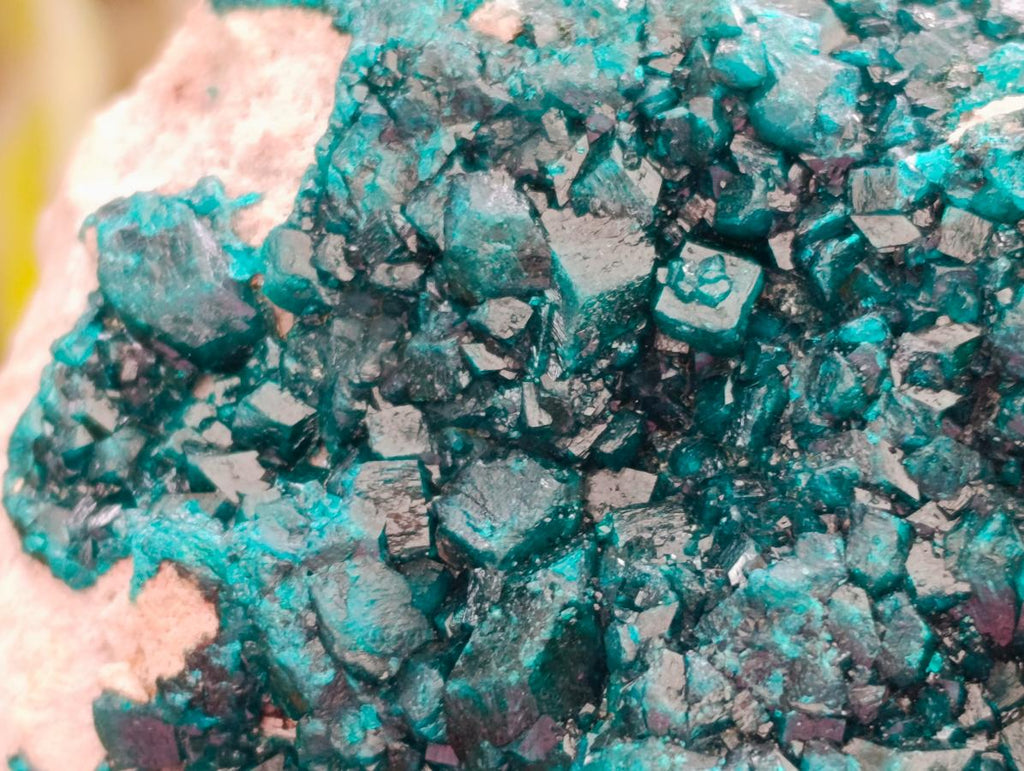 Natural Dioptase On Dolomite Specimen x 1 From Likasi, Congo