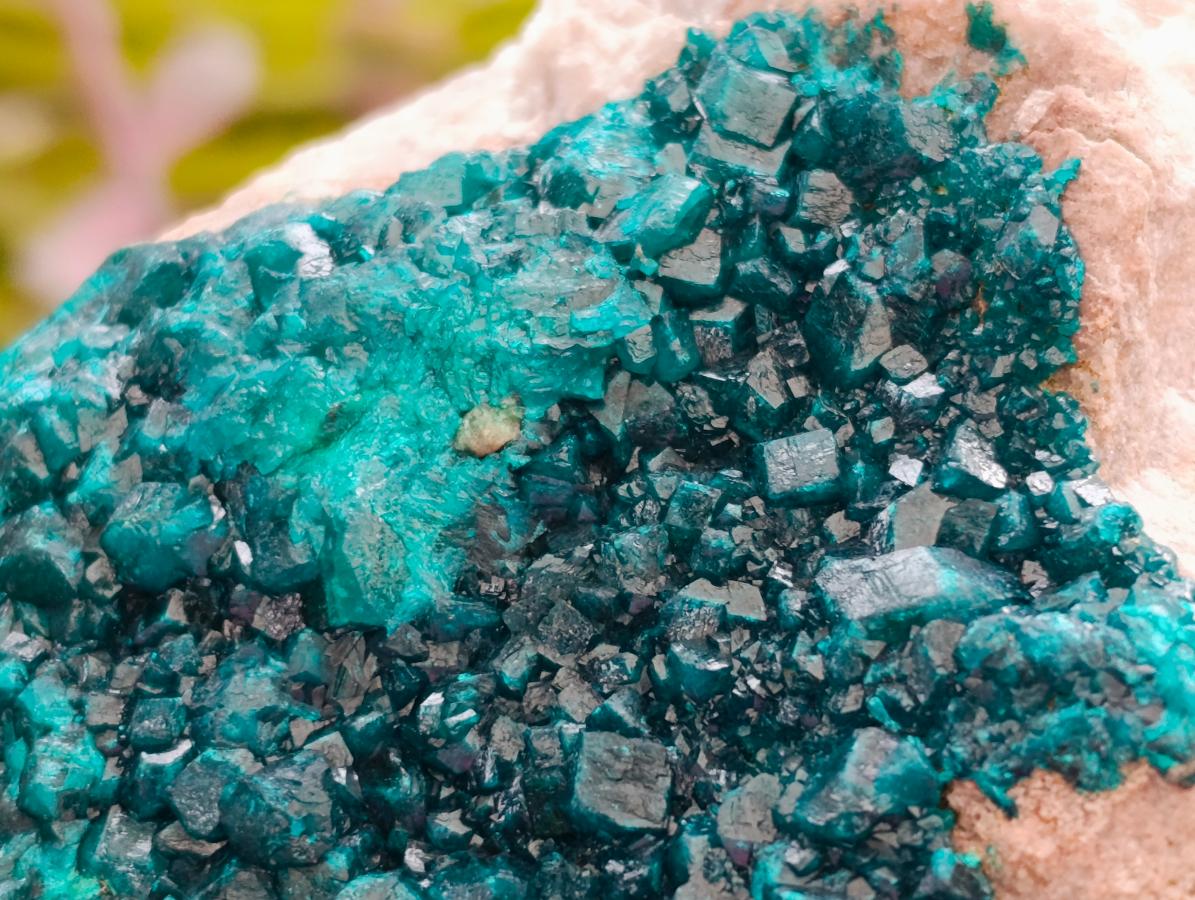 Natural Dioptase On Dolomite Specimen x 1 From Likasi, Congo