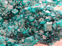 Natural Dioptase On Dolomite Specimen x 1 From Likasi, Congo