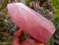 Polished Rose Quartz Crystals x 2 From Madagascar