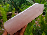 Polished Rose Quartz Crystals x 2 From Madagascar