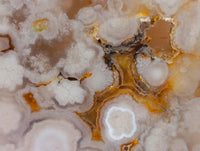 Polished Flower Agate Standing Free Forms x 6 From Antsahalova, Madagascar