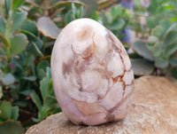 Polished Flower Agate Standing Free Forms x 6 From Antsahalova, Madagascar