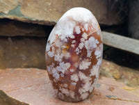 Polished Flower Agate Standing Free Forms x 6 From Antsahalova, Madagascar