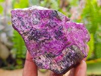 Natural Stichtite Cobbed Specimens x 6 From Barberton, South Africa