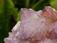 Natural Sunburst Amethyst Spirit Clusters x 3 From Boekenhouthoek, South Africa