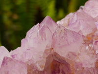 Natural Sunburst Amethyst Spirit Clusters x 3 From Boekenhouthoek, South Africa