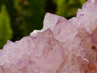 Natural Sunburst Amethyst Spirit Clusters x 3 From Boekenhouthoek, South Africa