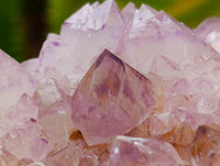 Natural Sunburst Amethyst Spirit Clusters x 3 From Boekenhouthoek, South Africa