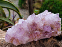 Natural Sunburst Amethyst Spirit Clusters x 3 From Boekenhouthoek, South Africa