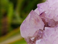 Natural Sunburst Amethyst Spirit Clusters x 3 From Boekenhouthoek, South Africa