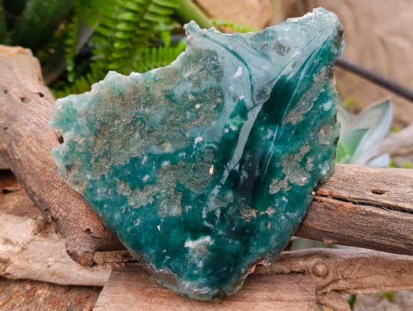 Polished On One Side Mtorolite Plates x 2 From Mutorashanga, Zimbabwe