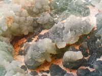 Polished On One Side Mtorolite Plates x 2 From Mutorashanga, Zimbabwe