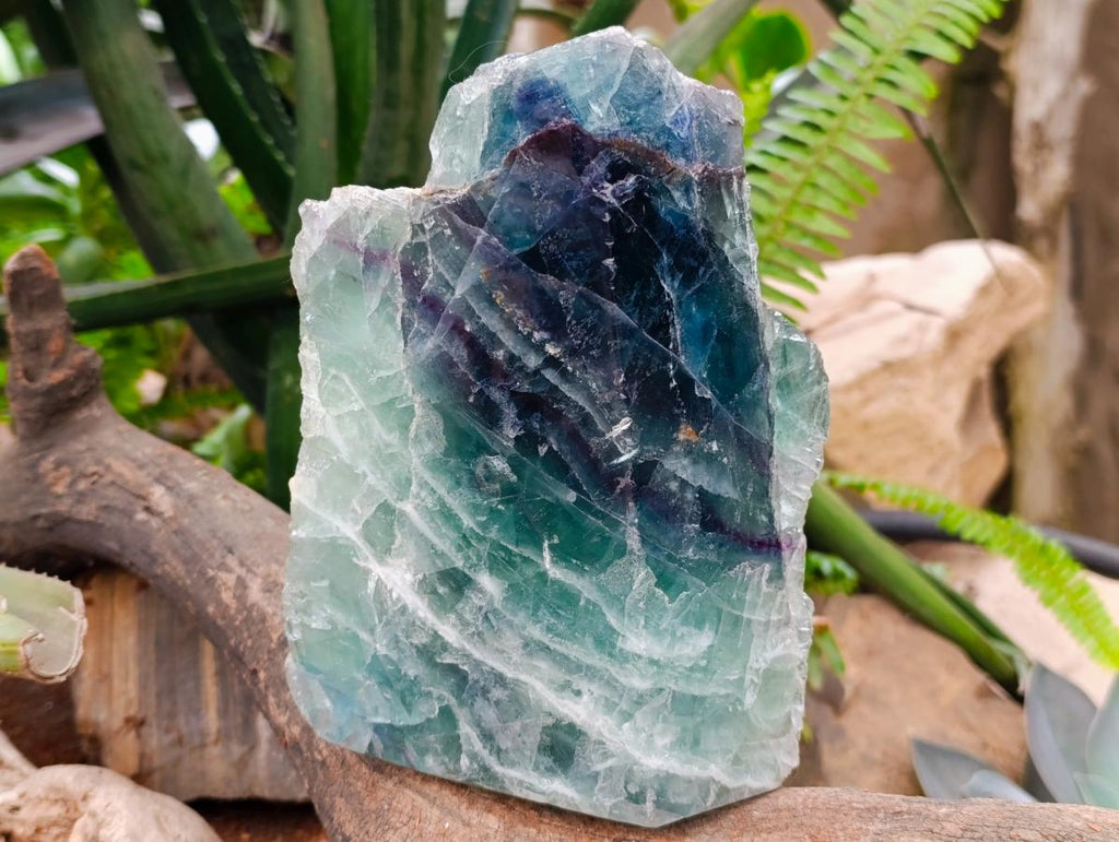 Polished On One Side Watermelon Fluorite Slice x 1 From Uis, Namibia