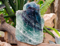 Polished On One Side Watermelon Fluorite Slice x 1 From Uis, Namibia