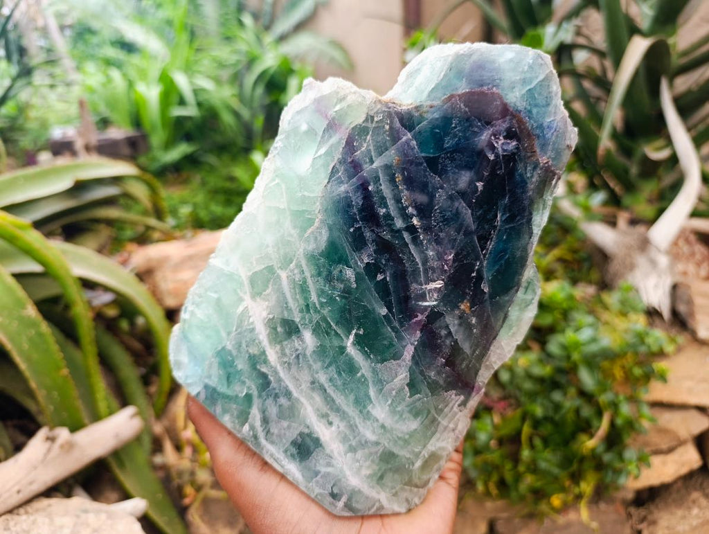 Polished On One Side Watermelon Fluorite Slice x 1 From Uis, Namibia