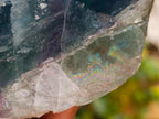 Polished On One Side Watermelon Fluorite Slice x 1 From Uis, Namibia