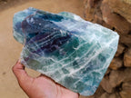 Polished On One Side Watermelon Fluorite Slice x 1 From Uis, Namibia