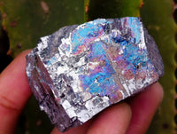 Natural Bright Silver Lead Galena Cobbed Specimens x 9 From Kaokoveld, Namibia