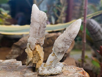 Natural Drusy Quartz Coated Spearhead Calcite Specimens x 20 From Albert's Mountain, Lesotho