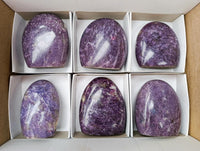 Polished Lepidolite Standing Free Forms x 6 From Madagascar