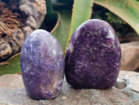 Polished Lepidolite Standing Free Forms x 6 From Madagascar